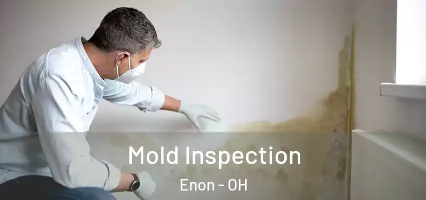 Mold Inspection Enon - OH