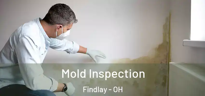 Mold Inspection Findlay - OH