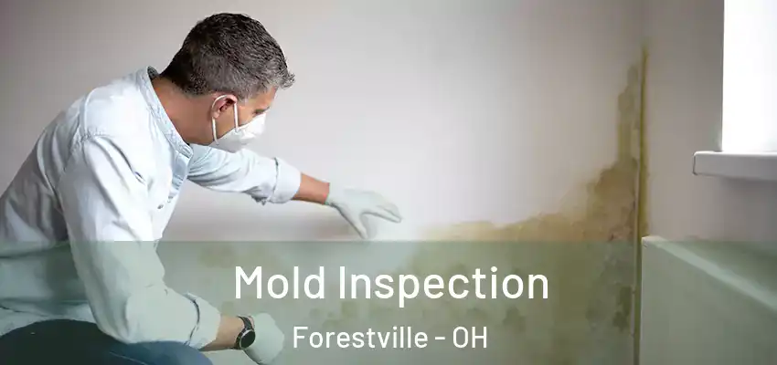 Mold Inspection Forestville - OH