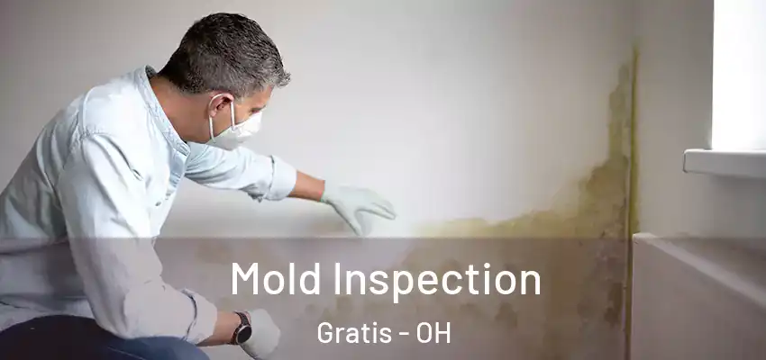 Mold Inspection Gratis - OH