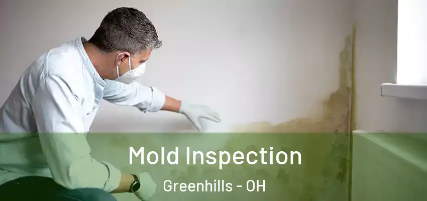 Mold Inspection Greenhills - OH