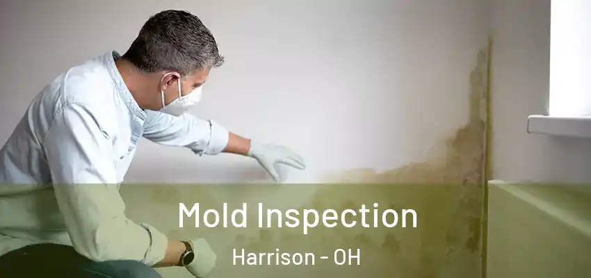 Mold Inspection Harrison - OH