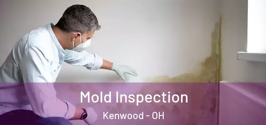 Mold Inspection Kenwood - OH