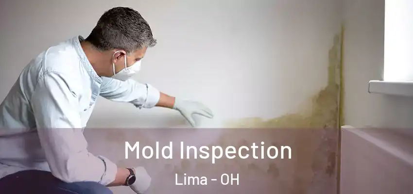  Mold Inspection Lima - OH