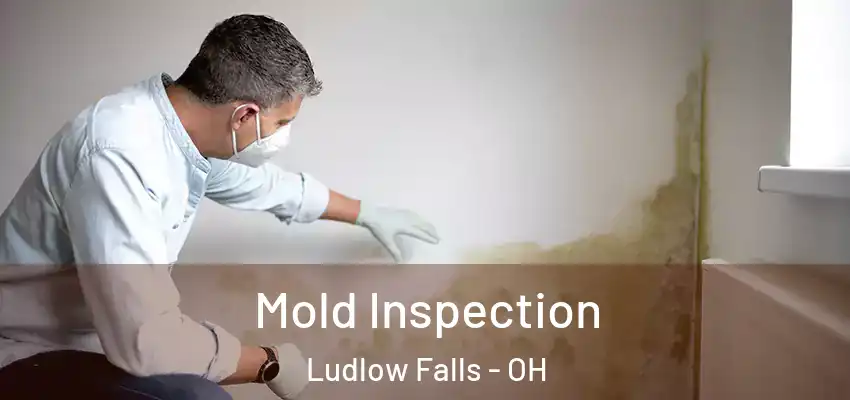 Mold Inspection Ludlow Falls - OH