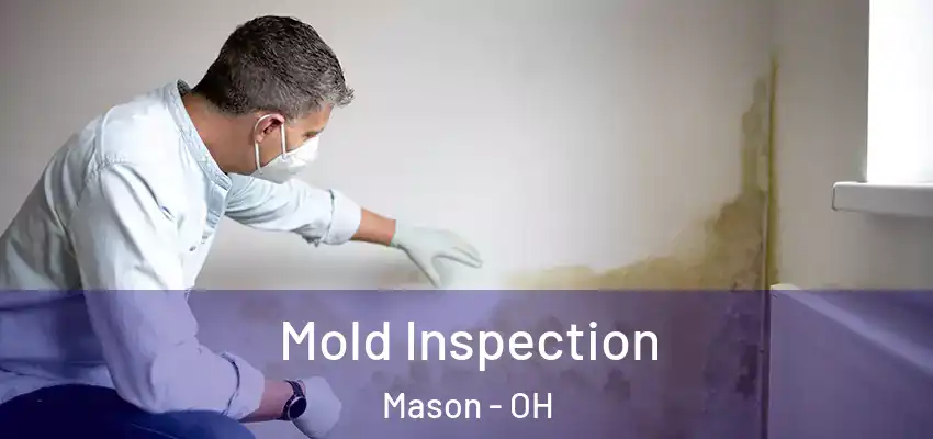 Mold Inspection Mason - OH