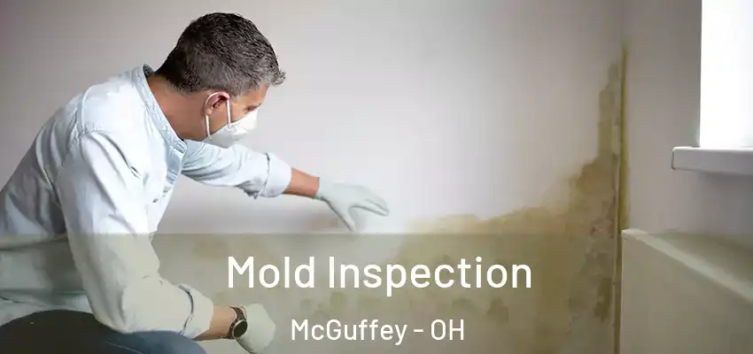  Mold Inspection McGuffey - OH