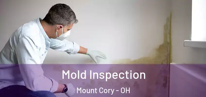 Mold Inspection Mount Cory - OH