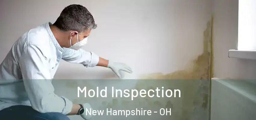 Mold Inspection New Hampshire - OH