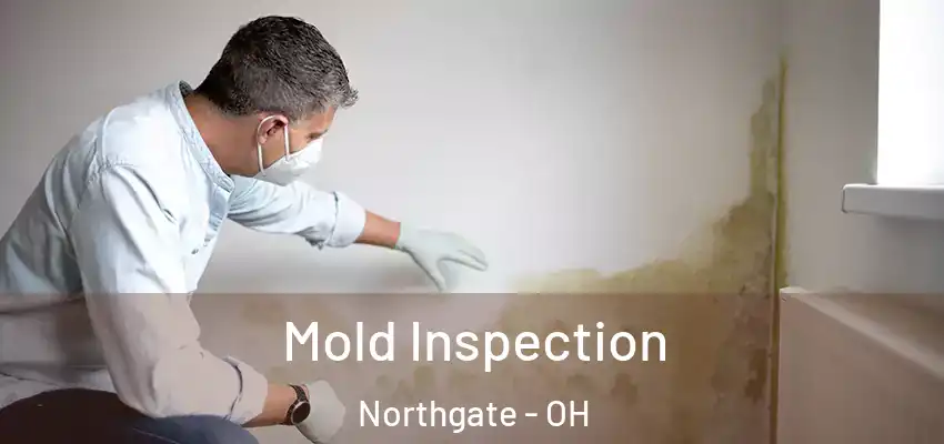 Mold Inspection Northgate - OH