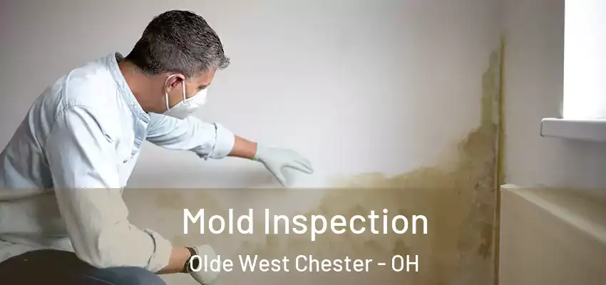  Mold Inspection Olde West Chester - OH