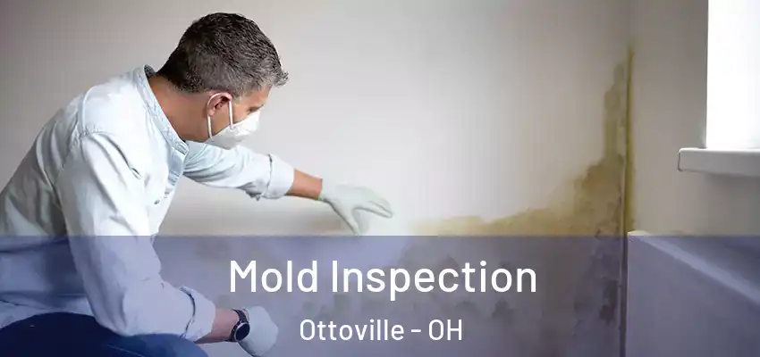  Mold Inspection Ottoville - OH