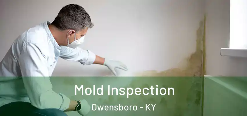 Mold Inspection Owensboro - KY