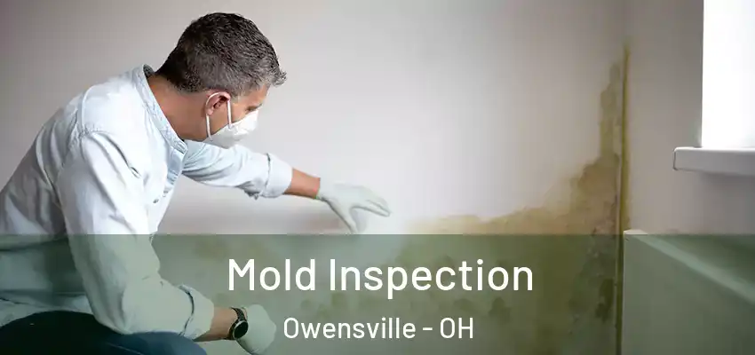  Mold Inspection Owensville - OH