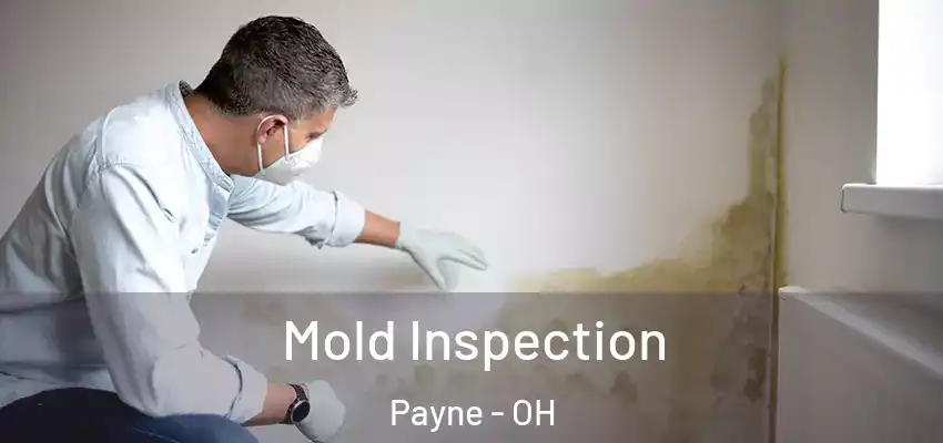  Mold Inspection Payne - OH