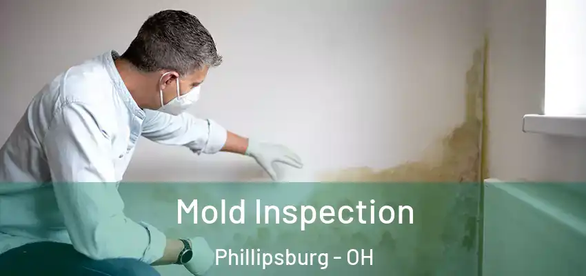 Mold Inspection Phillipsburg - OH