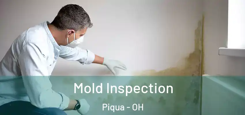  Mold Inspection Piqua - OH