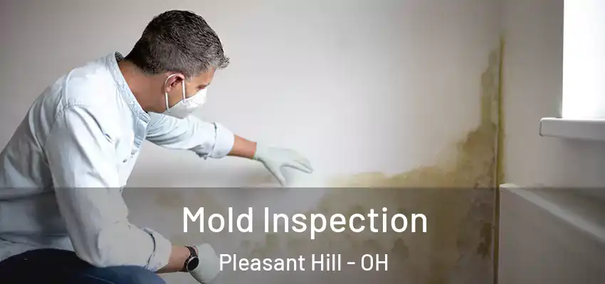 Mold Inspection Pleasant Hill - OH