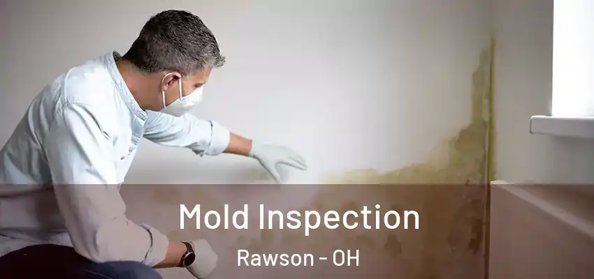 Mold Inspection Rawson - OH