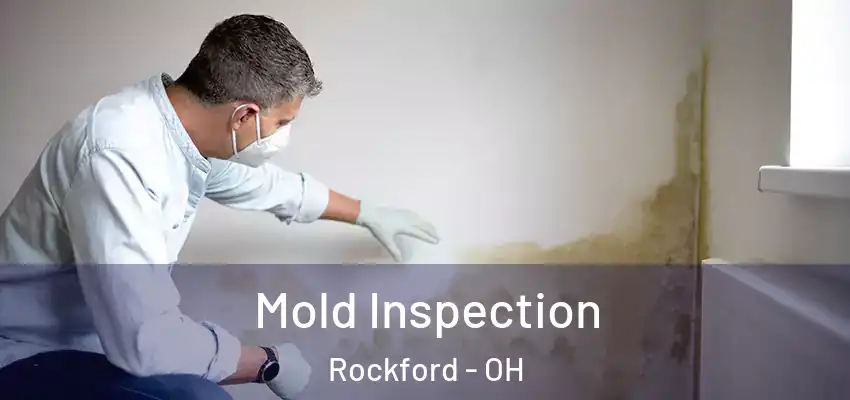 Mold Inspection Rockford - OH