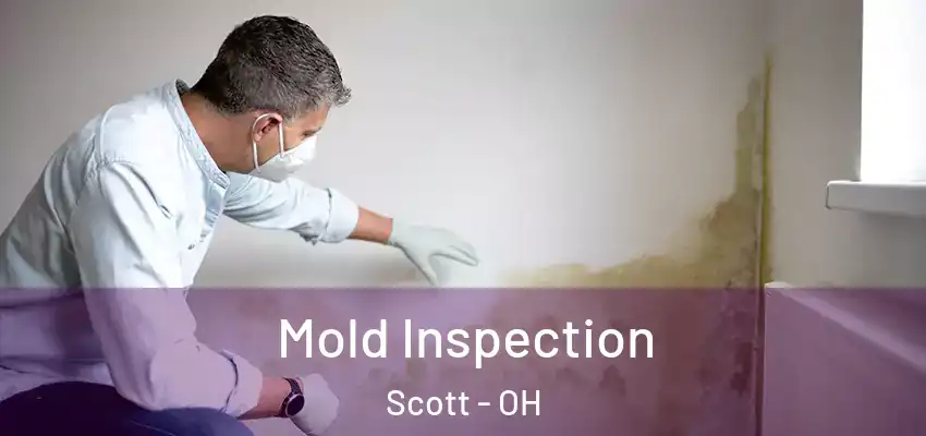 Mold Inspection Scott - OH