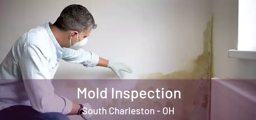  Mold Inspection South Charleston - OH