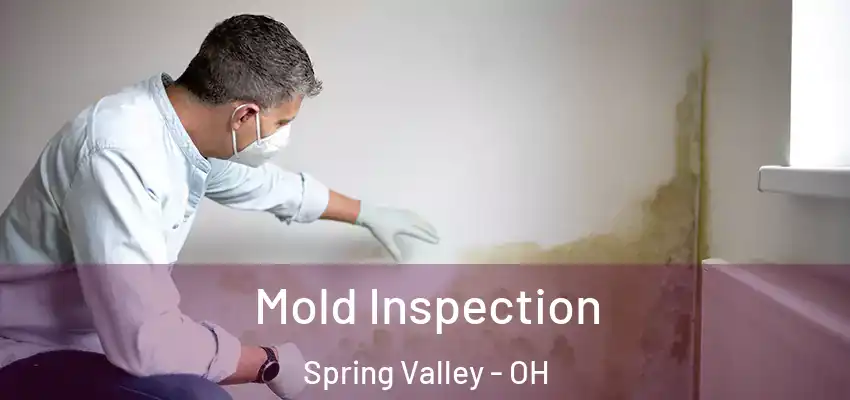  Mold Inspection Spring Valley - OH