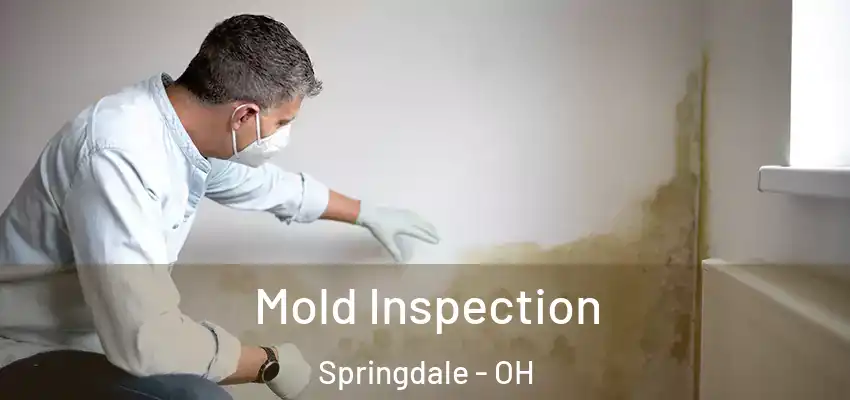 Mold Inspection Springdale - OH