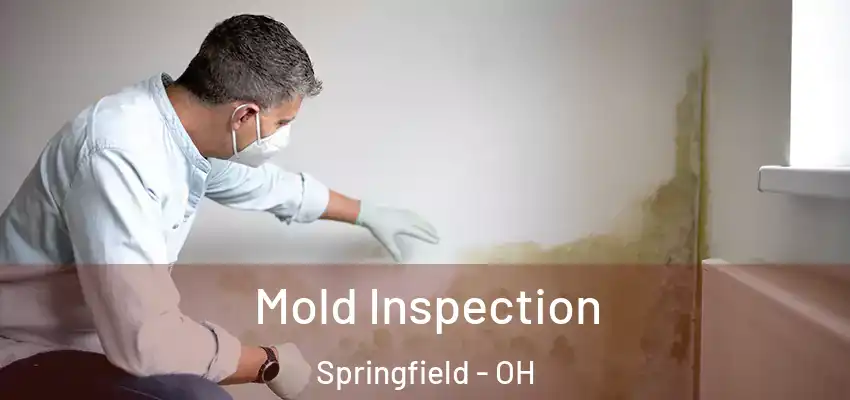 Mold Inspection Springfield - OH