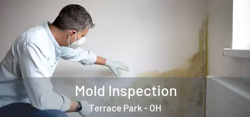 Mold Inspection Terrace Park - OH