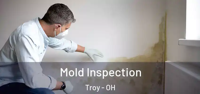 Mold Inspection Troy - OH