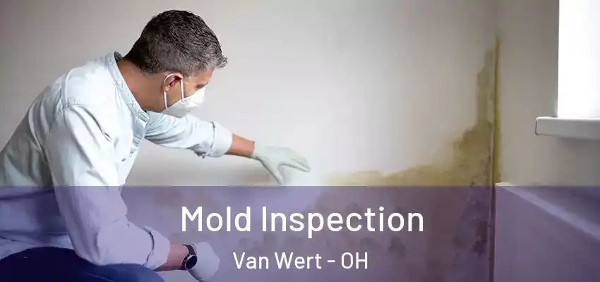 Mold Inspection Van Wert - OH