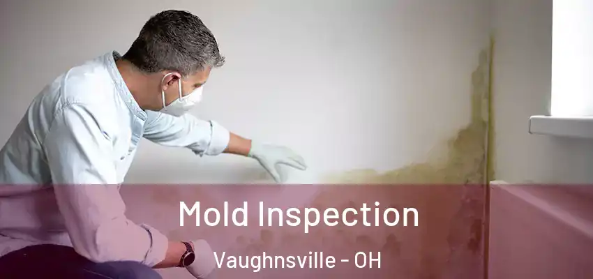 Mold Inspection Vaughnsville - OH