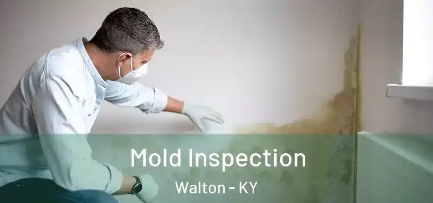 Mold Inspection Walton - KY