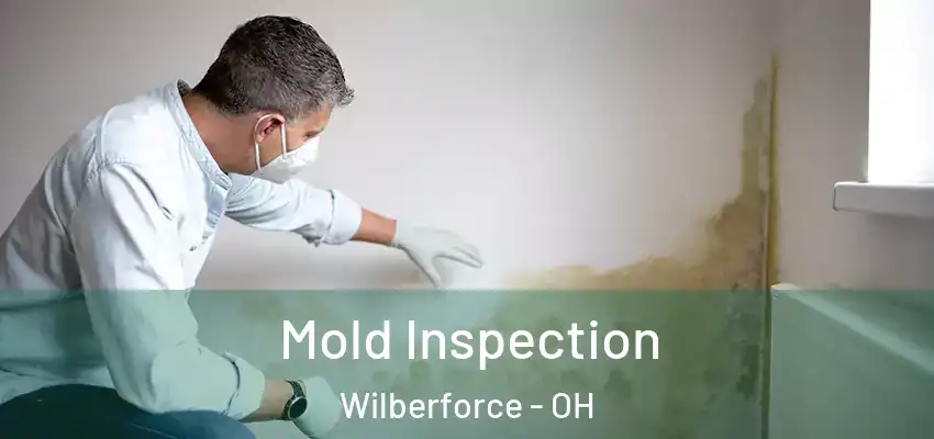 Mold Inspection Wilberforce - OH