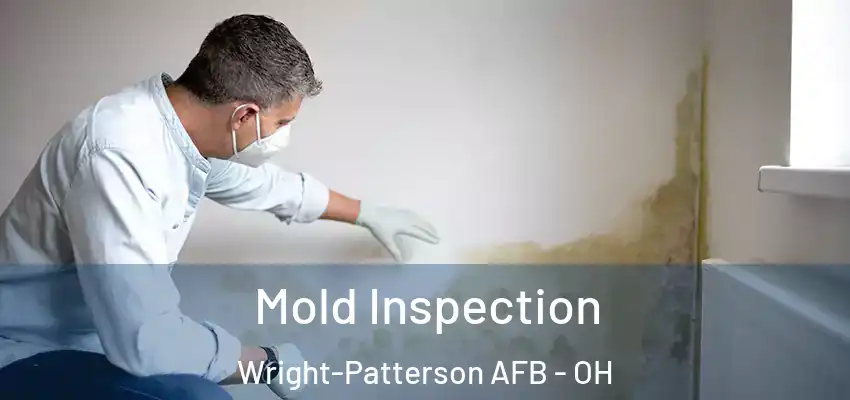  Mold Inspection Wright-Patterson AFB - OH