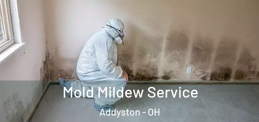  Mold Mildew Service Addyston - OH