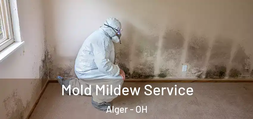 Mold Mildew Service Alger - OH