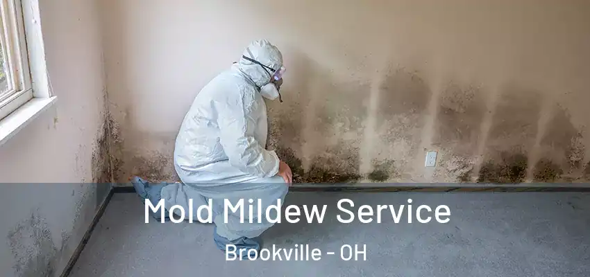 Mold Mildew Service Brookville - OH