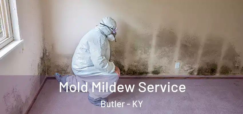 Mold Mildew Service Butler - KY