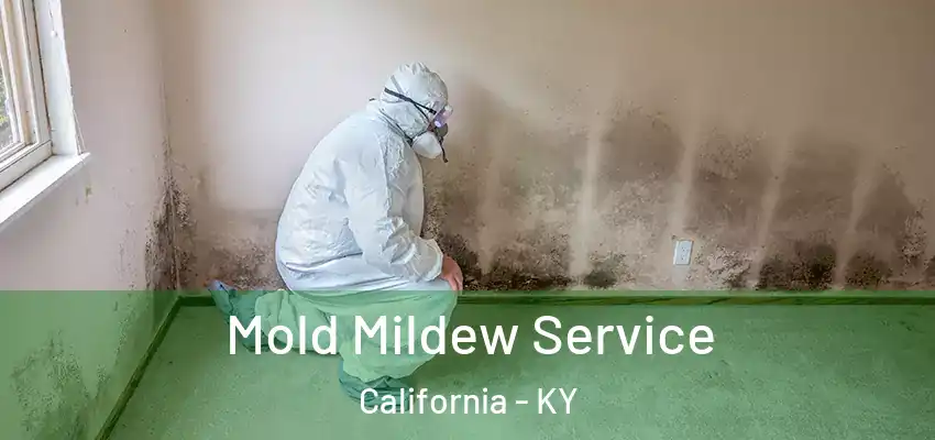 Mold Mildew Service California - KY