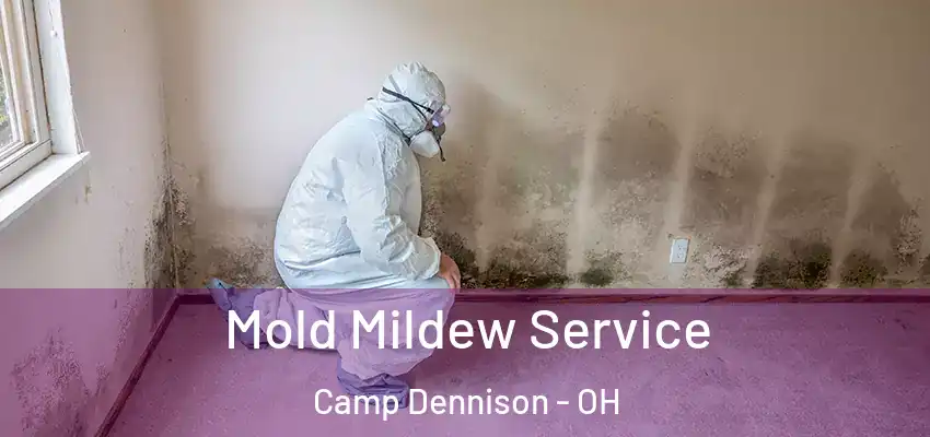 Mold Mildew Service Camp Dennison - OH