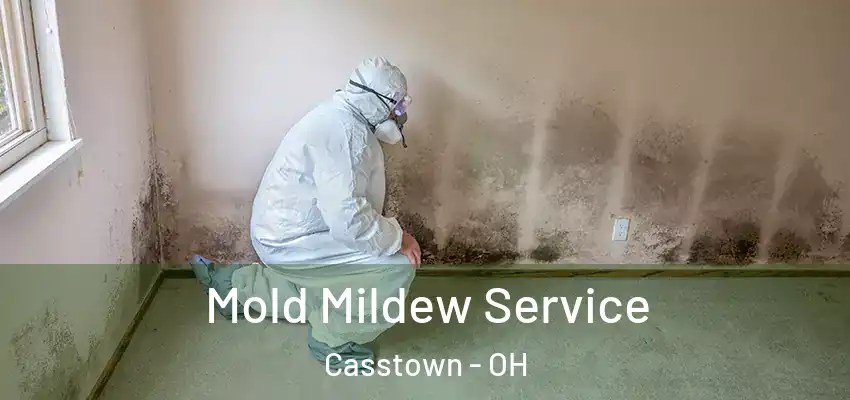 Mold Mildew Service Casstown - OH