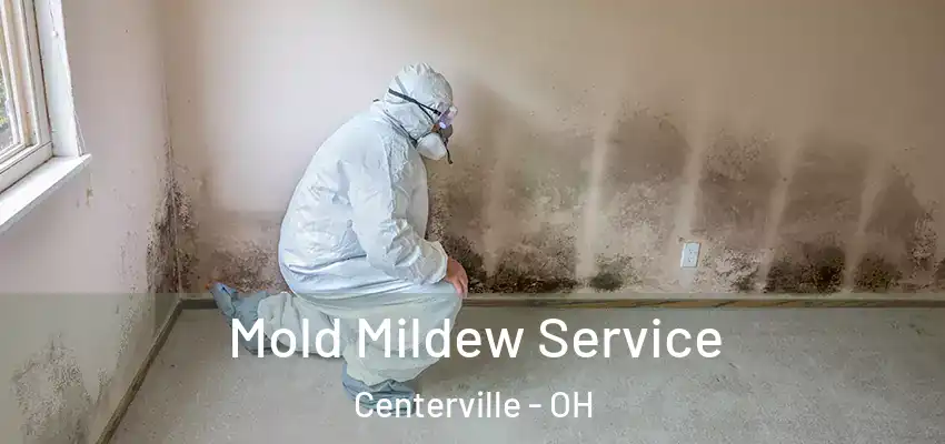 Mold Mildew Service Centerville - OH