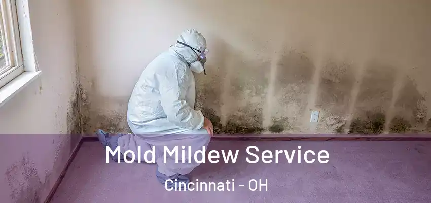  Mold Mildew Service Cincinnati - OH