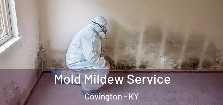 Mold Mildew Service Covington - KY