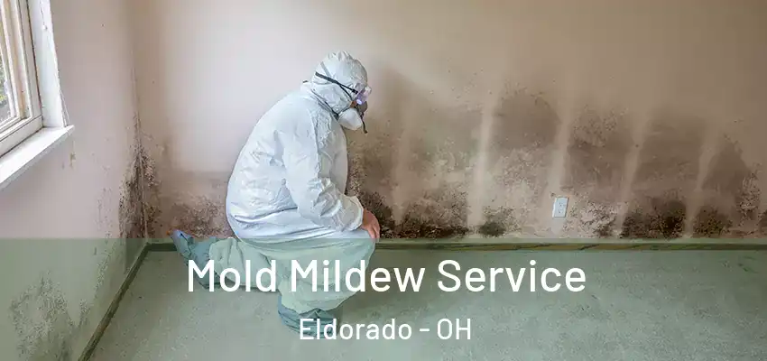 Mold Mildew Service Eldorado - OH