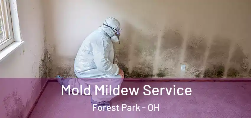 Mold Mildew Service Forest Park - OH