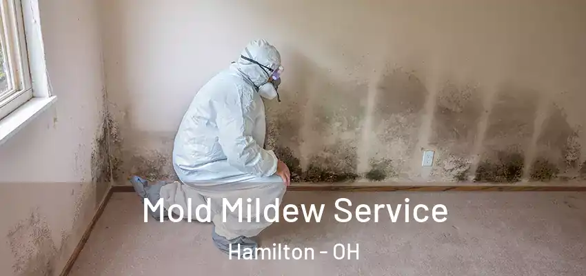  Mold Mildew Service Hamilton - OH