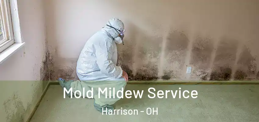  Mold Mildew Service Harrison - OH